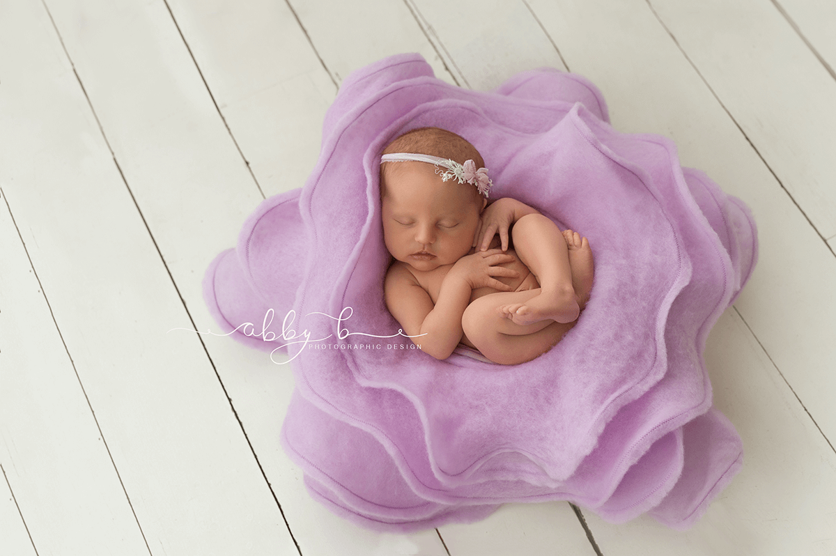 Abby B Photography, Newborn Gallery