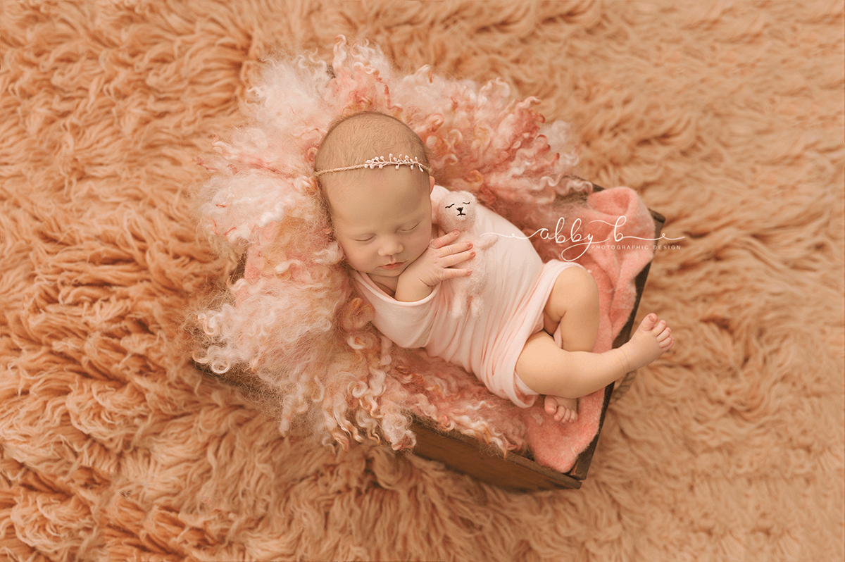 Abby B Photography, Newborn Gallery