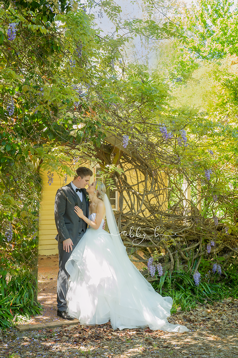 Abby B Photography, Wedding Gallery